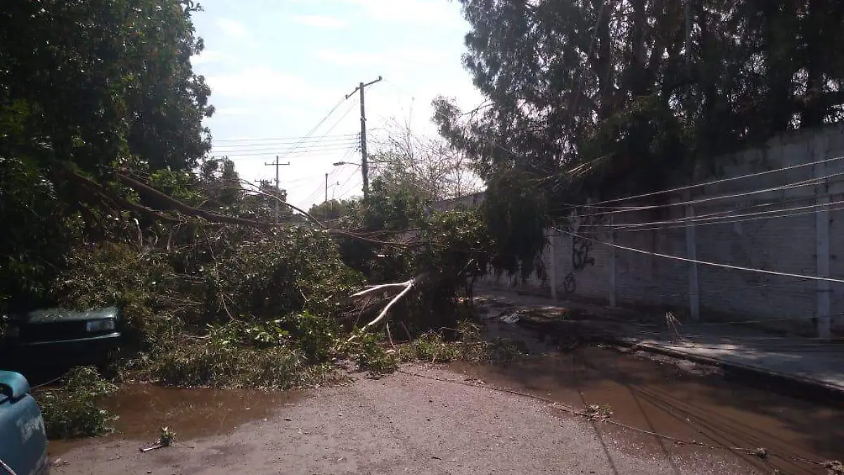 22 SIDEAPA atendió contingencia por lluvias2